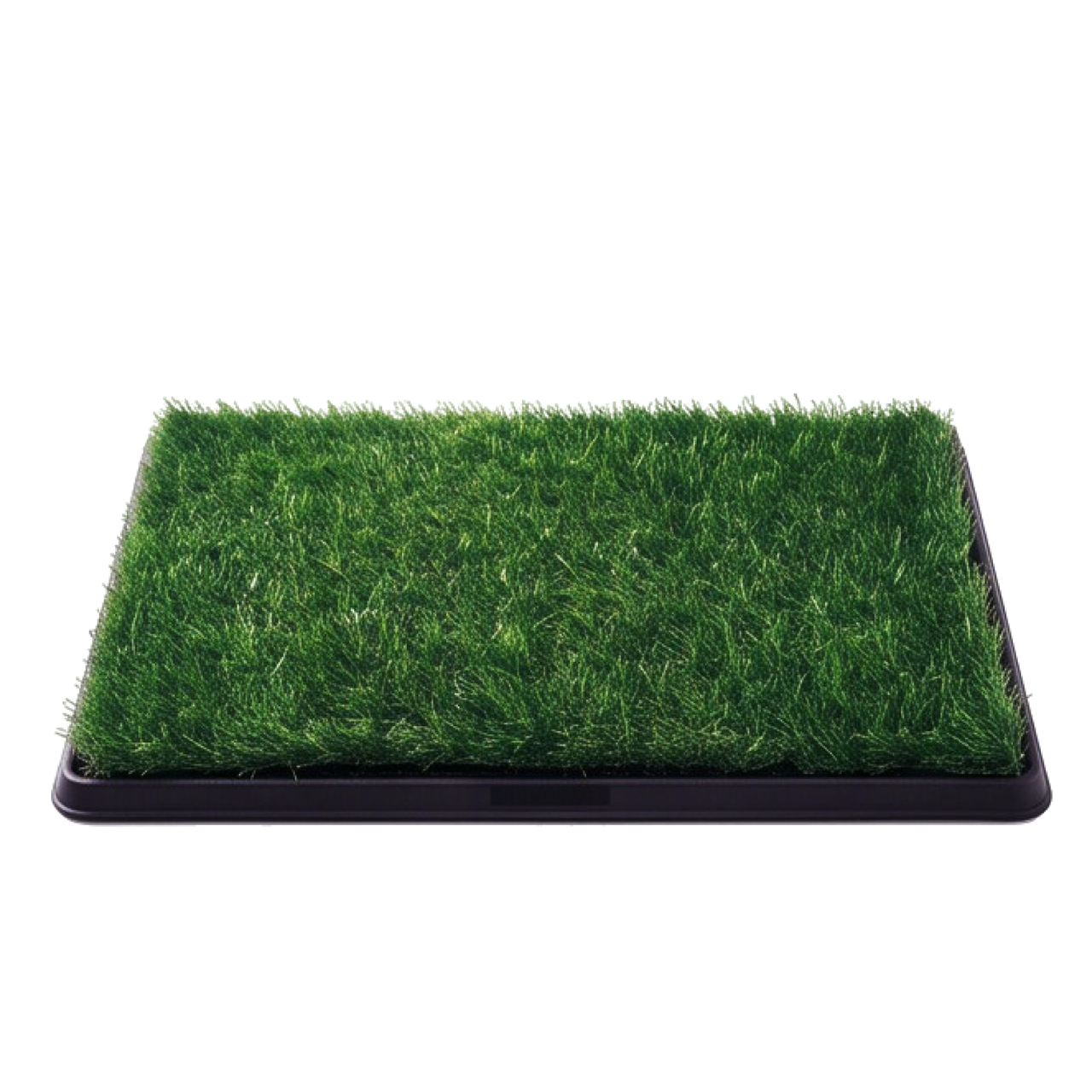 Tapete Sanitario para Perros Grande 50 x 76 cm Green Carpet® | Sistema Reutilizable de 3 Niveles