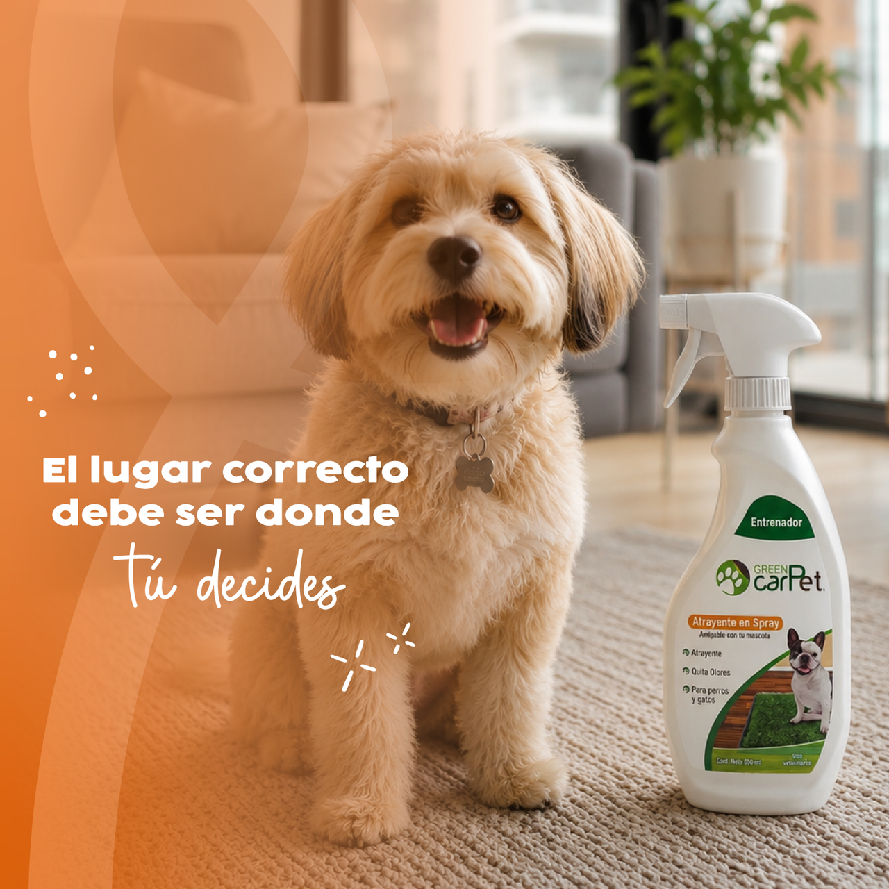 Atrayente para Perros y Gatos 500 ml Green Carpet®| Entrenador para Enseñar Dónde Hacer del Baño
