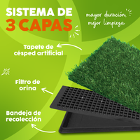 Thumbnail for Tapete Sanitario para Perros Grande 50 x 76 cm Green Carpet® | Sistema Reutilizable de 3 Niveles