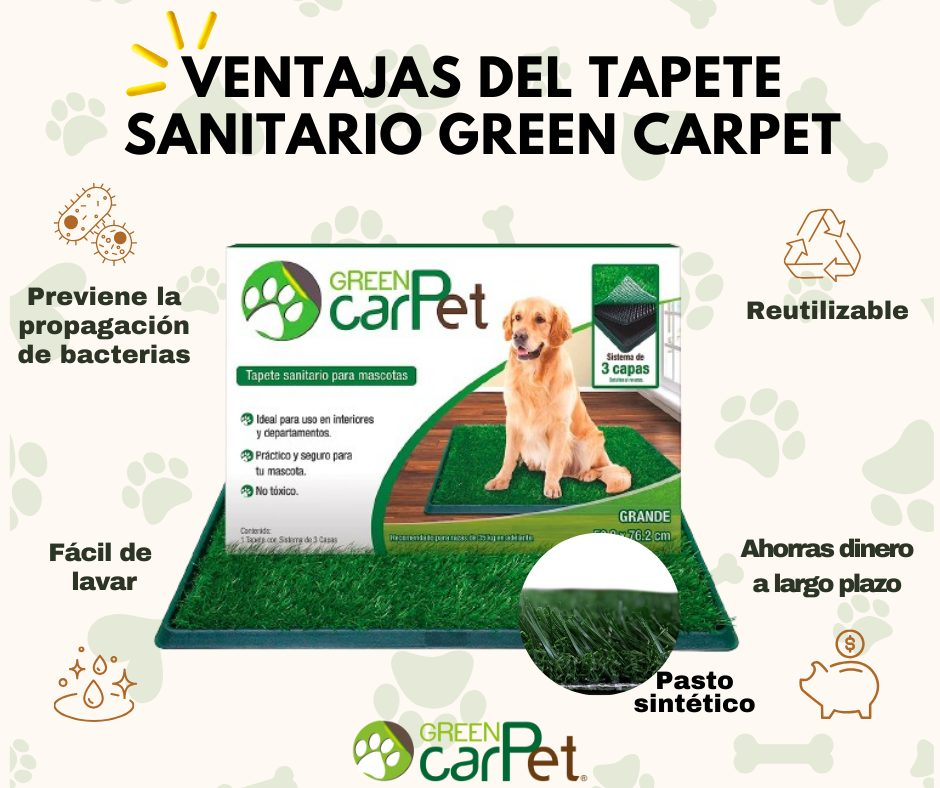Tapete Entrenador Grande Green Carpert