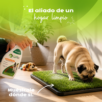 Thumbnail for Atrayente para Perros y Gatos 500 ml Green Carpet®| Entrenador para Enseñar Dónde Hacer del Baño