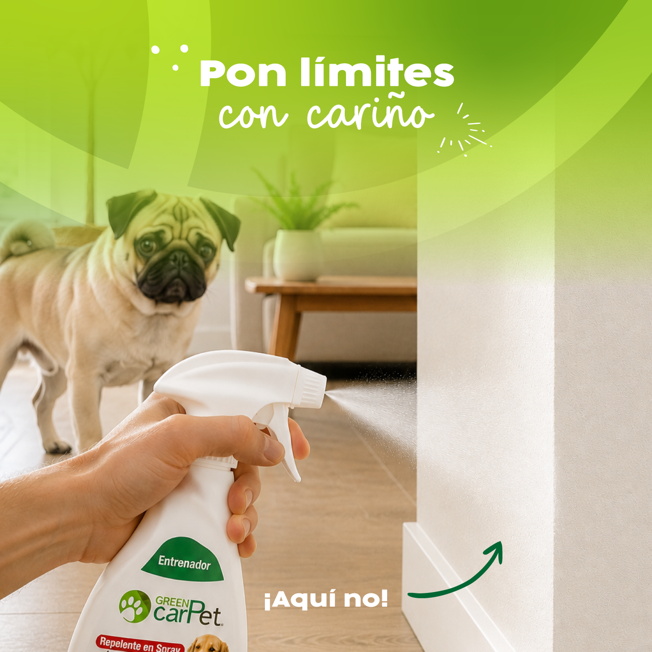 Repelente para Perros y Gatos 500 ml Green Carpet®| Enseña Dónde No Hacer del Baño