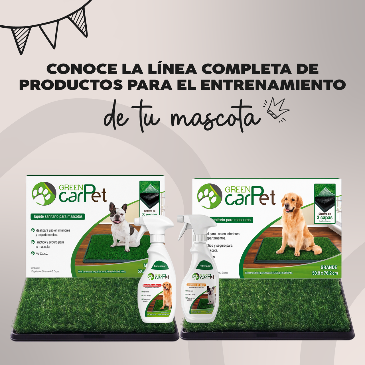 Atrayente para Perros y Gatos 500 ml Green Carpet®| Entrenador para Enseñar Dónde Hacer del Baño