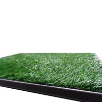 Thumbnail for Repuesto Tapete Mediano Green Carpet 50x63cm