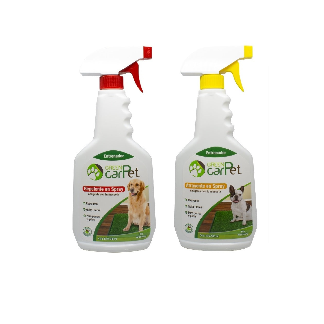 Kit Entrenador Mascota