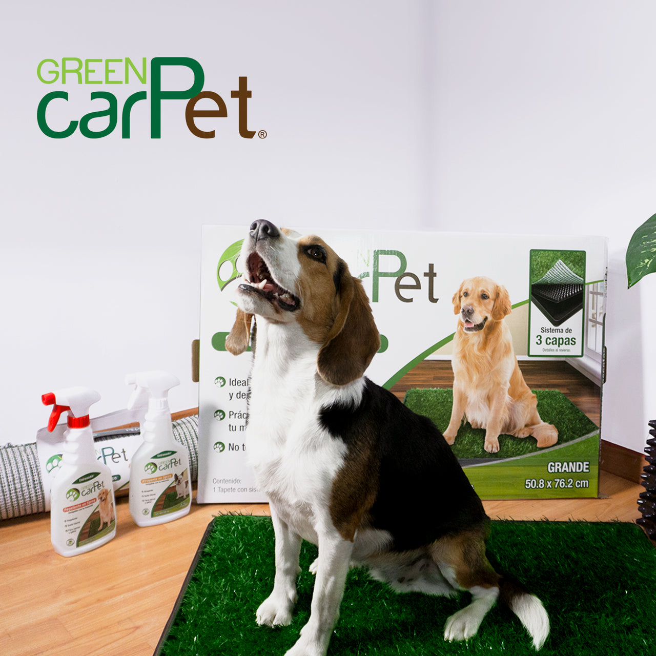 Tapete Entrenador Grande Green Carpert