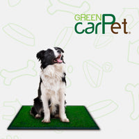 Thumbnail for Tapete Entrenador Grande Green Carpert