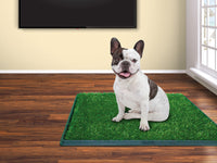 Thumbnail for Repuesto Tapete Mediano Green Carpet 50x63cm
